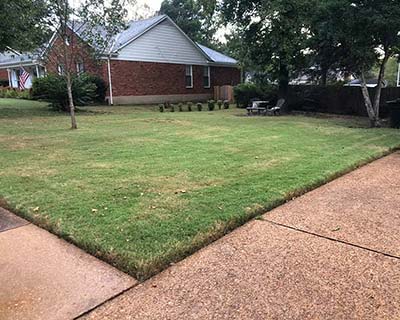 Aerating Collierville, TN