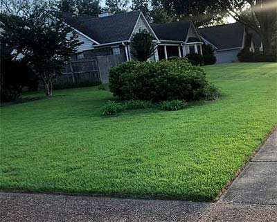 Grass Planting Collierville, TN