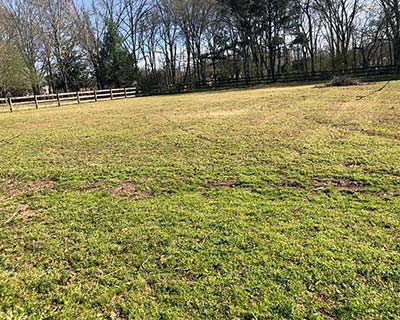 Lawn Care Collierville, TN