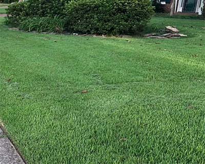 Lawn Maintenance Collierville, TN
