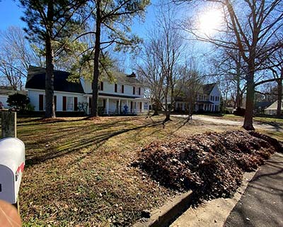 Leaf Removal Collierville, TN