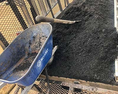 Mulching Collierville, TN