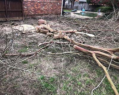 Tree Removal Rossville, TN