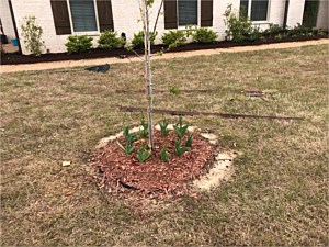 Photo 23